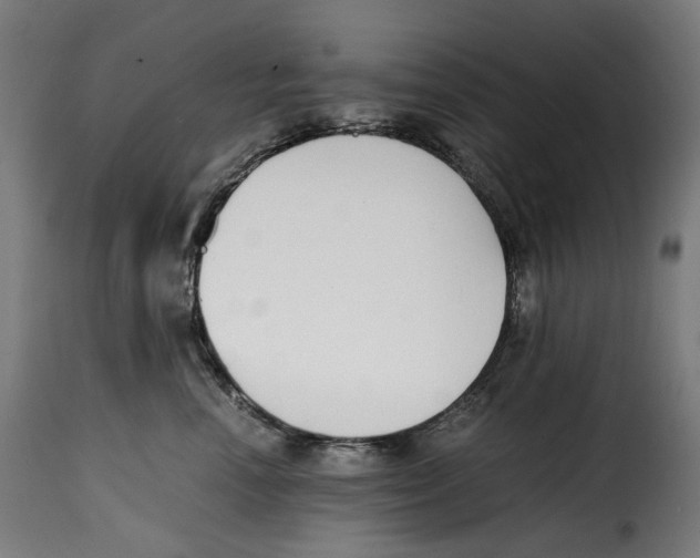 X0000115000666200911231206