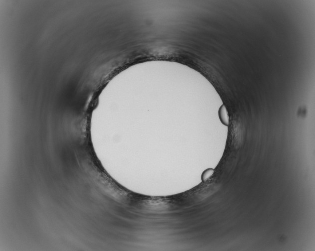 X0000115000668200911231206