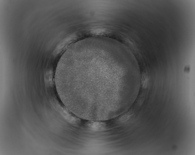 X0000115000670200911231206