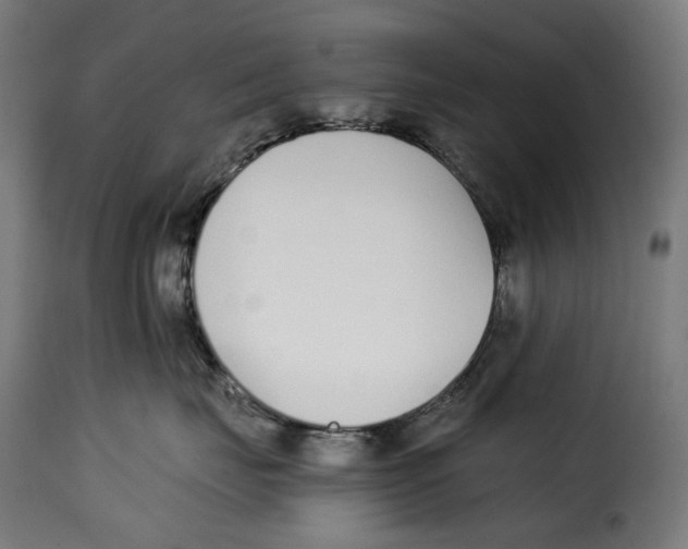 X0000115000671200911231206