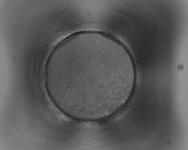 X0000115000673200911231205