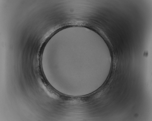 X0000115000674200911231205