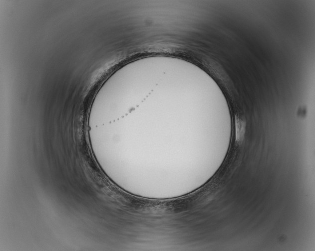 X0000115000675200911231205