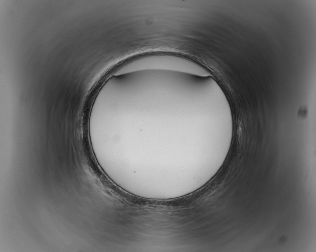 X0000115000676200911231205