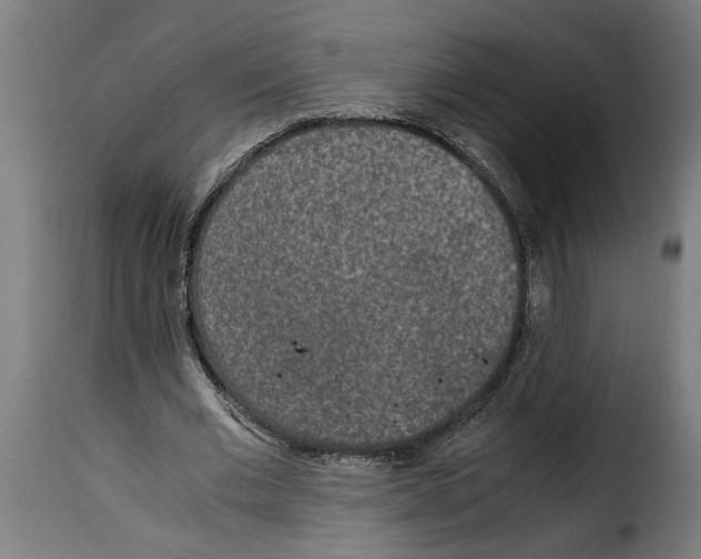 X0000115000677200911231205