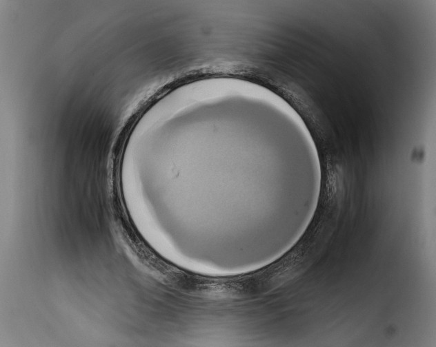 X0000115000678200911231205