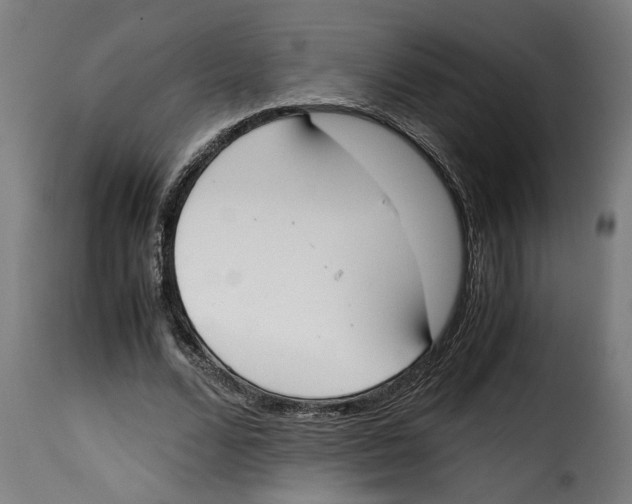 X0000115000680200911231205