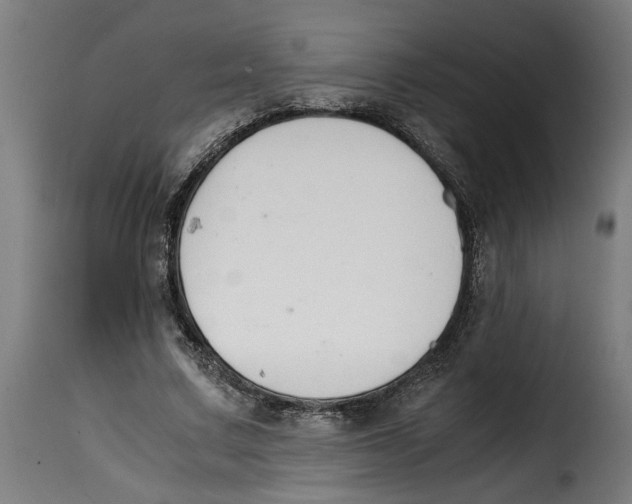 X0000115000683200911231205