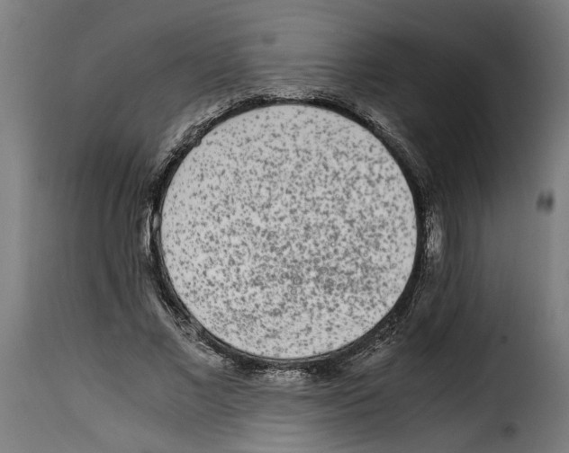 X0000115000685200911231205