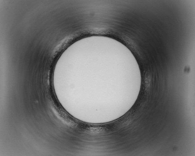 X0000115000686200911231205