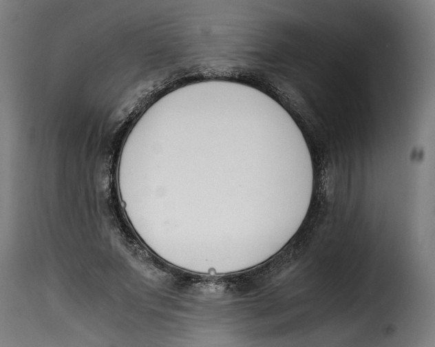 X0000115000687200911231205