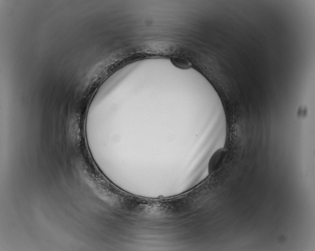 X0000115000688200911231205