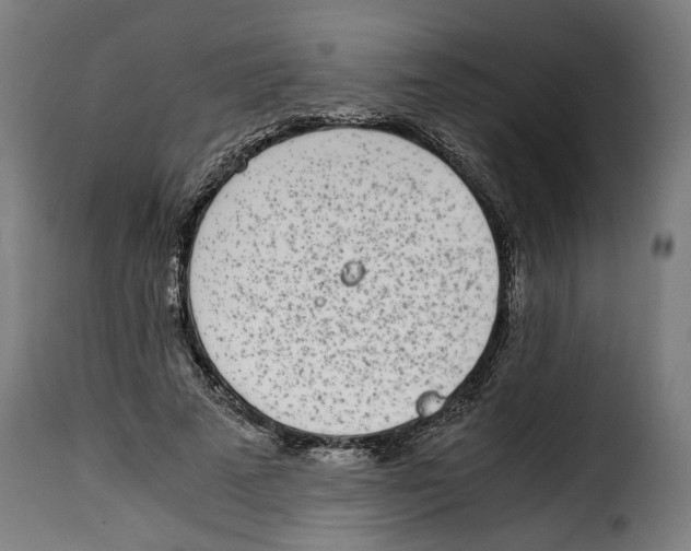 X0000115000689200911231205