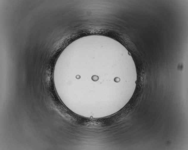 X0000115000691200911231205