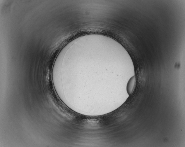 X0000115000692200911231205