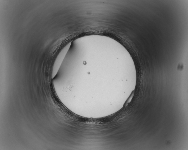 X0000115000693200911231205