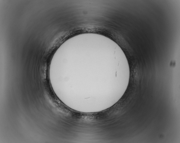 X0000115000694200911231205