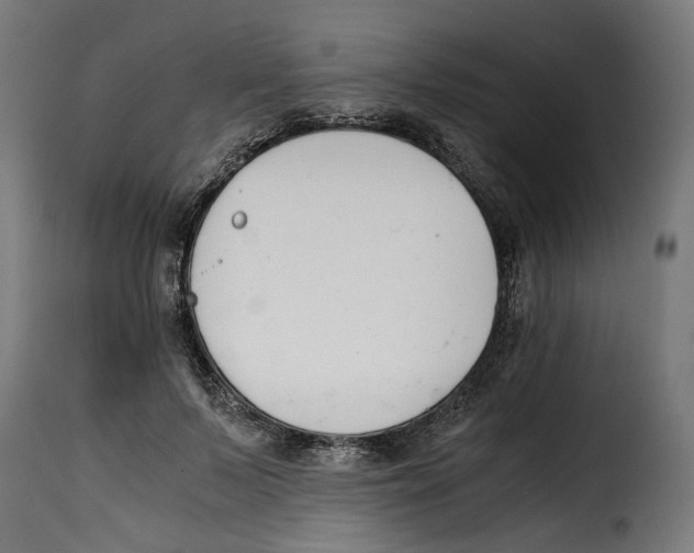 X0000115000695200911231205