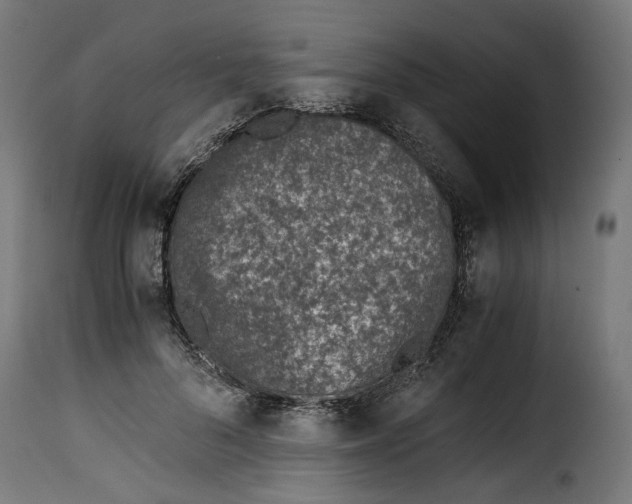 X0000115000696200911231205