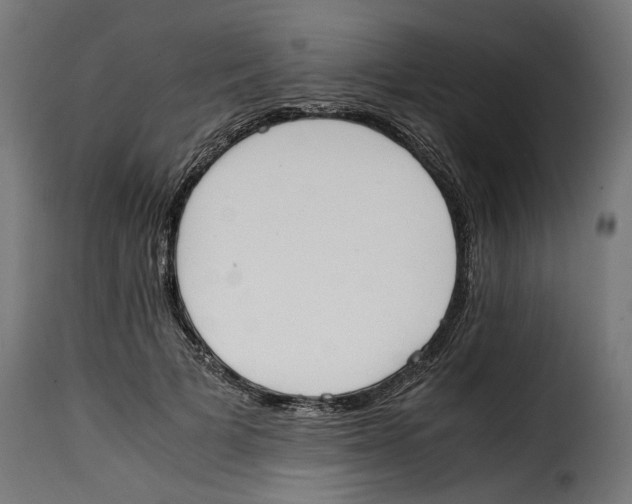 X0000115000697200911231205