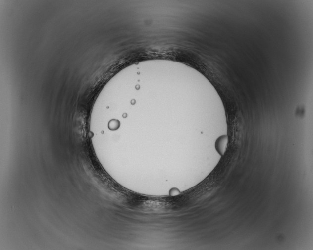 X0000115000699200911231205