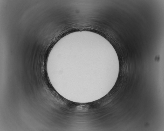 X0000115000700200911231205