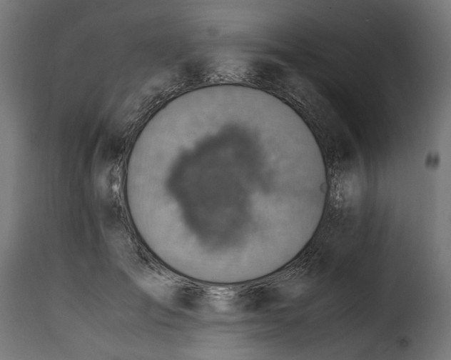 X0000115000701200911231205