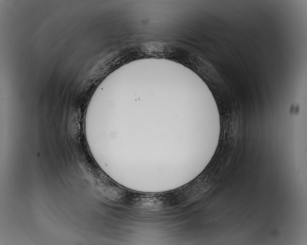 X0000115000702200911231205