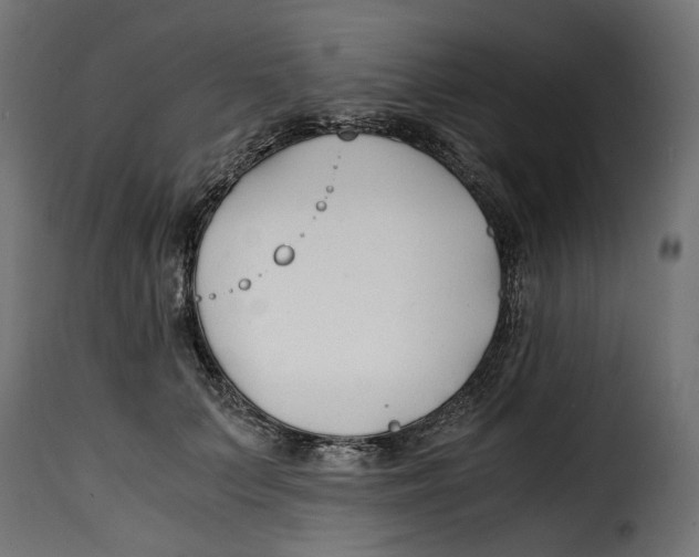 X0000115000703200911231205