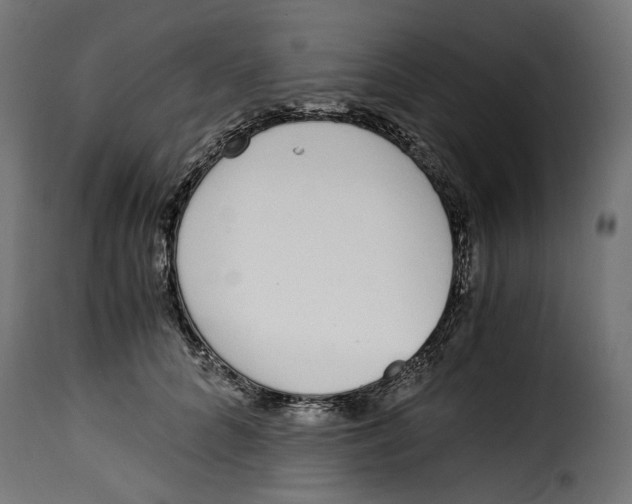 X0000115000704200911231205