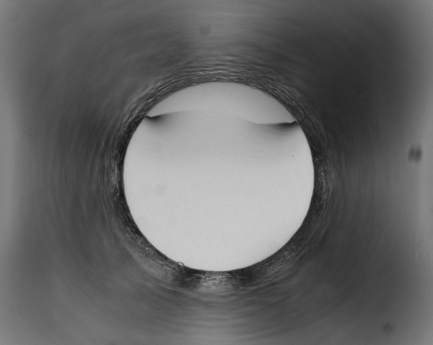 X0000115000705200911231205