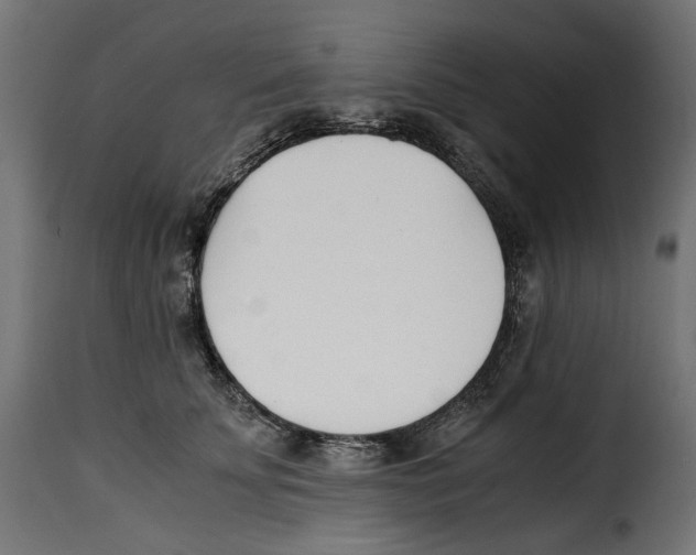 X0000115000707200911231205