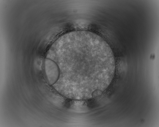 X0000115000709200911231204