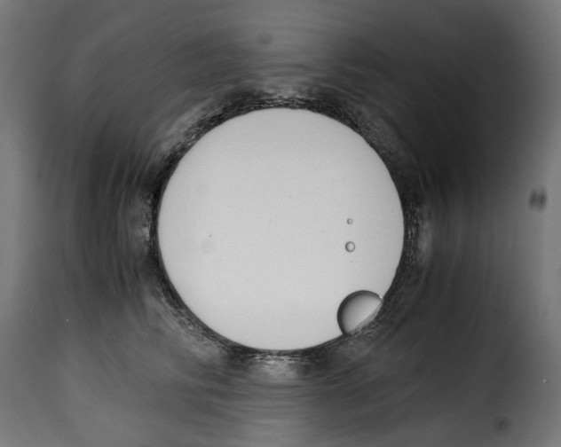 X0000115000710200911231204