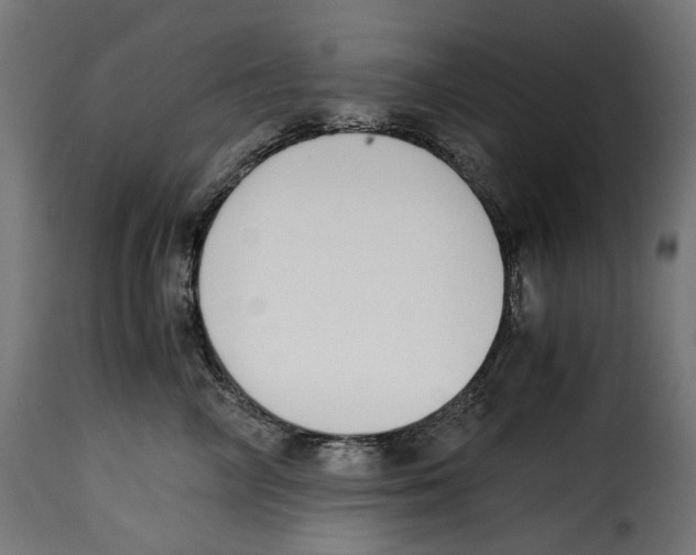 X0000115000714200911231204