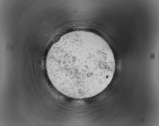 X0000115000715200911231204