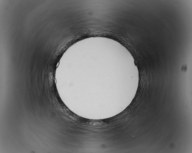 X0000115000716200911231204