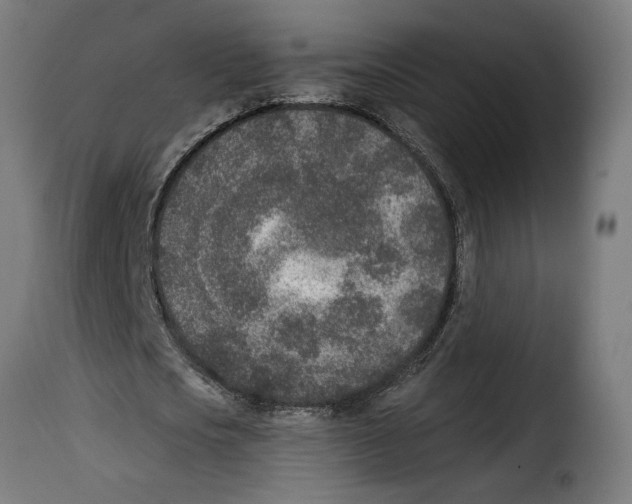 X0000115000721200911231204