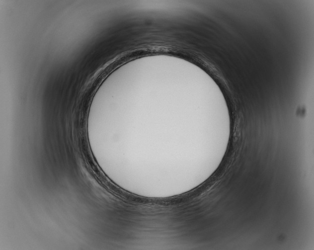 X0000115000722200911231204