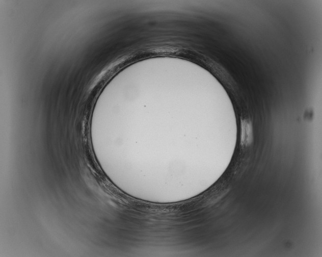 X0000115000723200911231204