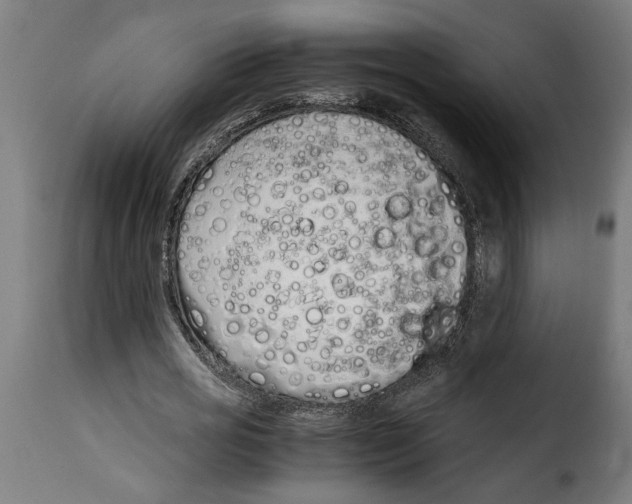 X0000115000725200911231204