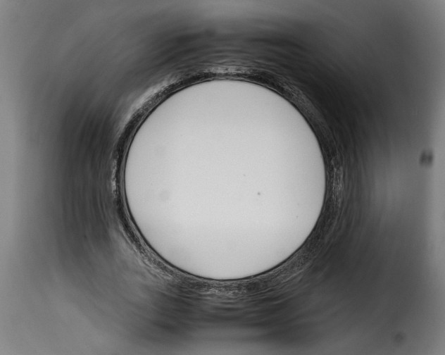 X0000115000727200911231204