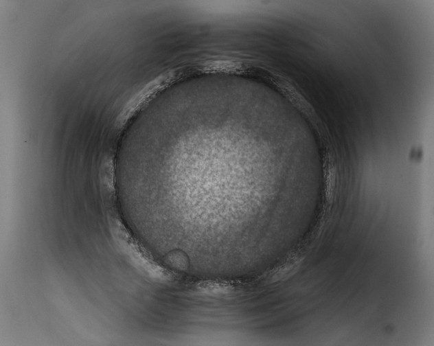 X0000115000729200911231204