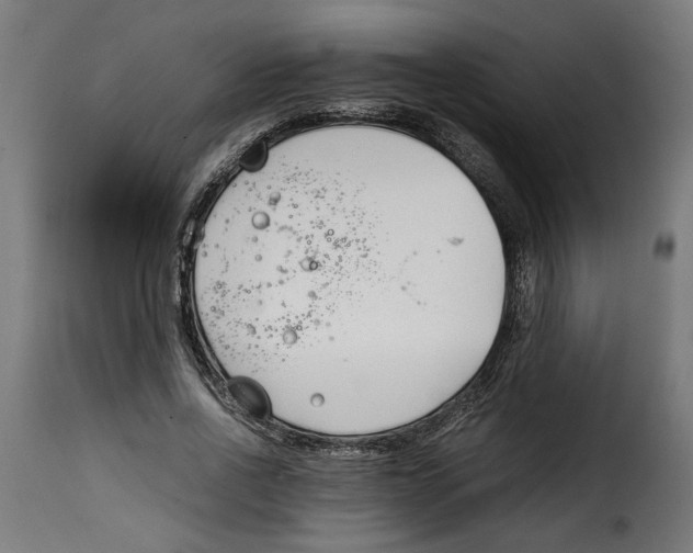 X0000115000734200911231204