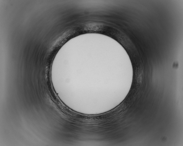 X0000115000735200911231204