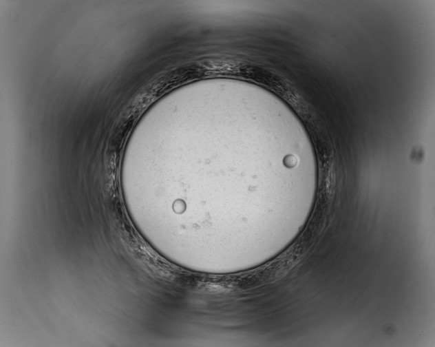 X0000115000737200911231204