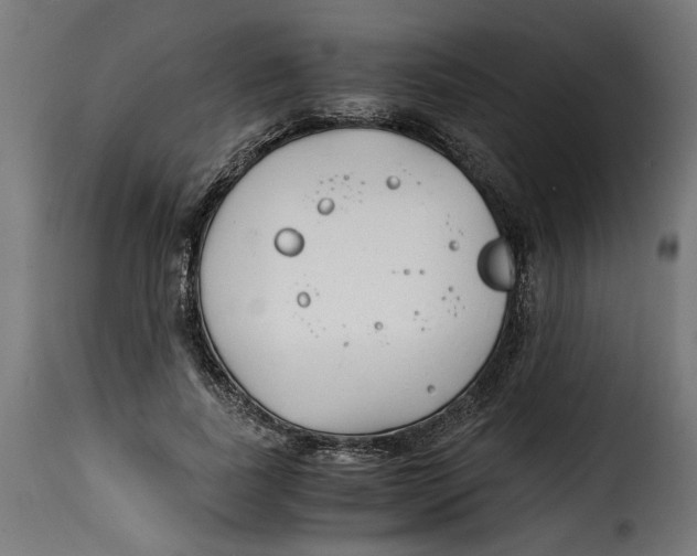 X0000115000739200911231204