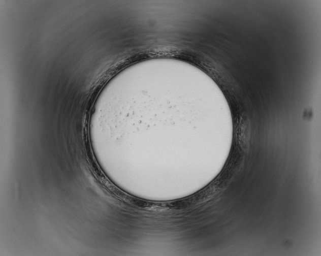 X0000115000742200911231204