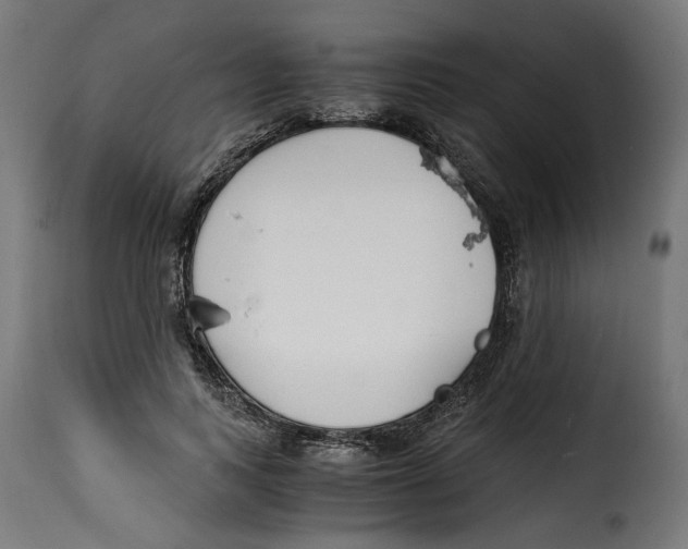 X0000115000743200911231204