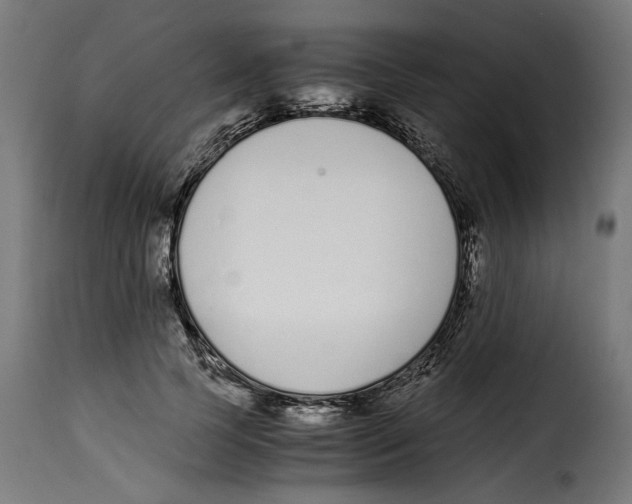 X0000115000745200911231204